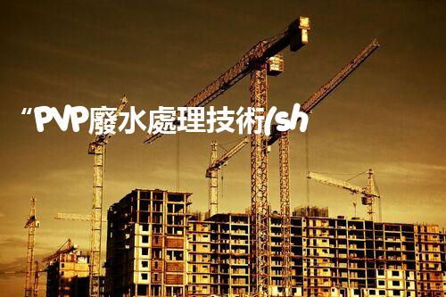 “PVP廢水處理技術(shù)，綠色環(huán)保新篇章”